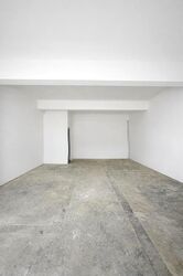 Hong Lim Complex (D1), Retail #531630531